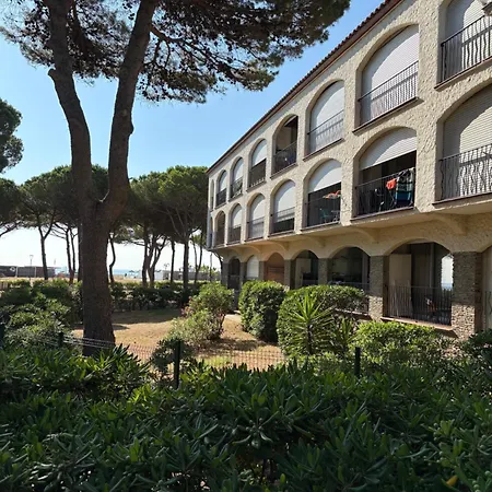 Soleil Pinede Argelès-sur-Mer