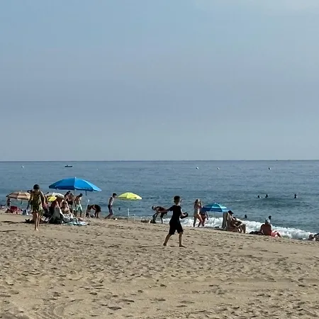 Soleil Pinede * Argelès-sur-Mer