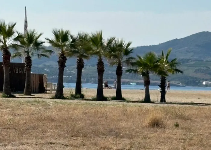 Soleil Pinede Argelès-sur-Mer