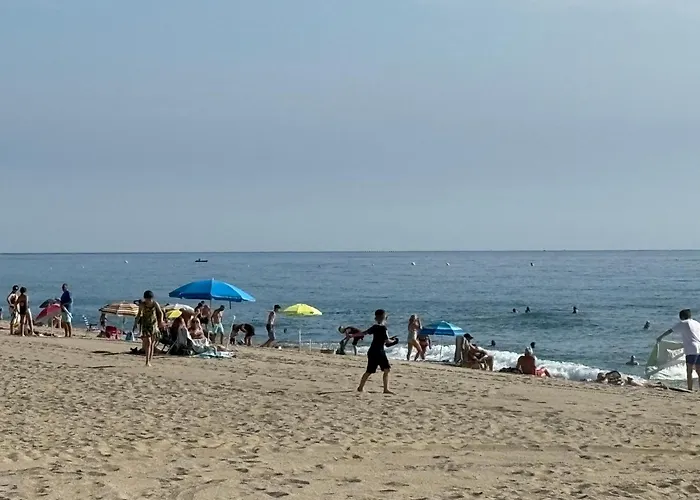 Soleil Pinede * Argelès-sur-Mer