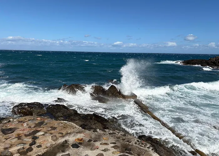 Soleil Pinede Apartamento Argelès-sur-Mer