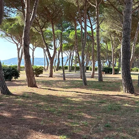 Soleil Pinede Apartamento